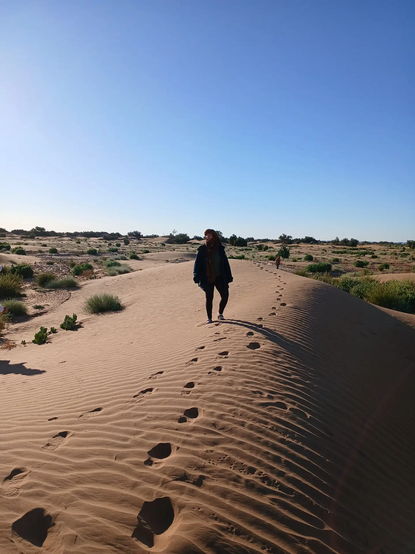 marche dans les dunes